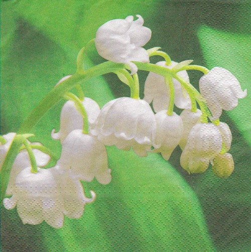 Ubrousek - konvalinky