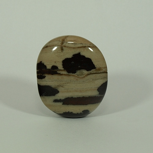 Jaspis zebra – leštěná placička 41 mm