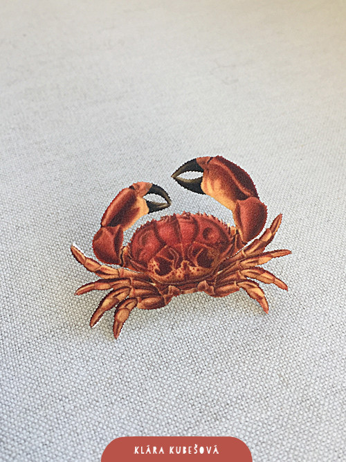 Krab červený - brož
