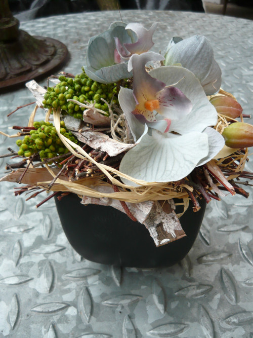 Kouzlo orchidei — foto 1