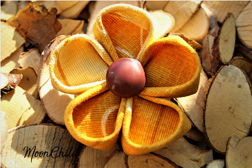 Greet the Joy - brož — foto 1