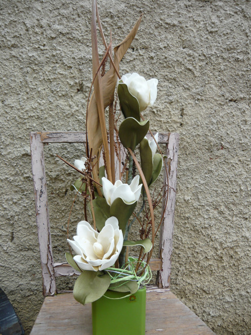 Pěnová magnolie — foto 1