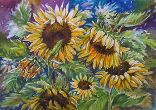 Slunečnice - akvarel 30x40 cm — foto 1