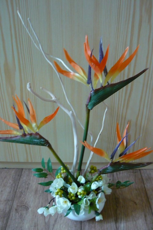 Strelitzia — foto 1