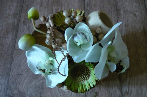 Phalaenopsis — foto 1