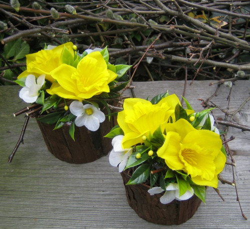 Drobná dekorace s narcisy — foto 1