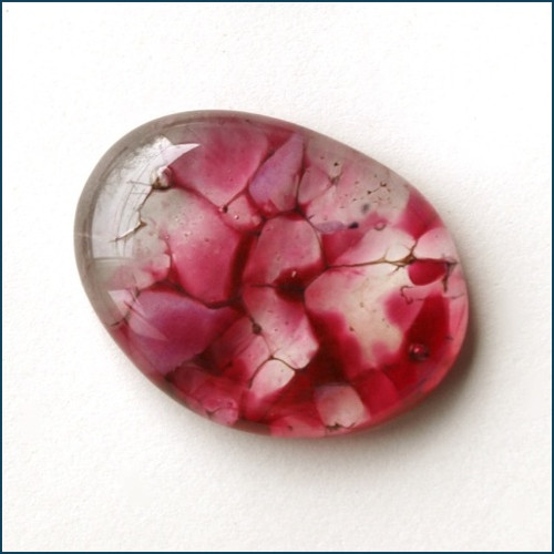 Růžové / 2073 — foto 1