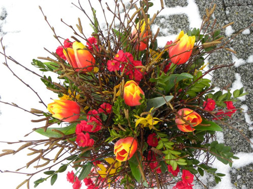 Březová kytka s tulipány — foto 1