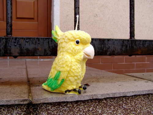 Svíčka z palmového vosku - Papoušek Aratinga