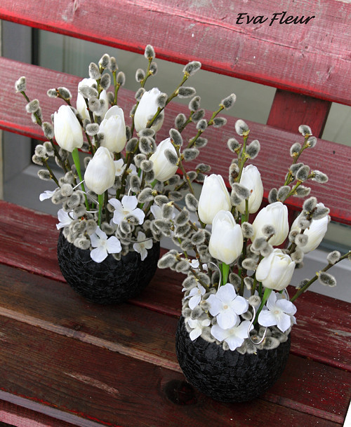 Páni Tulipáni a jejich kočičky — foto 1