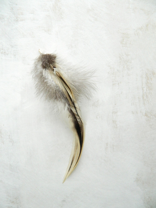 Peříčkový clip (sponka) do vlasů 18 cm — foto 1