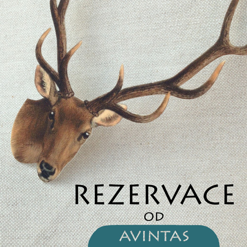 Rezervace - placatky — foto 1