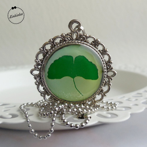 Ginkgo biloba - medailonek — foto 1