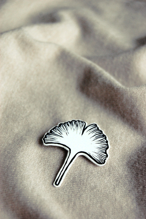 Ginkgo — foto 1