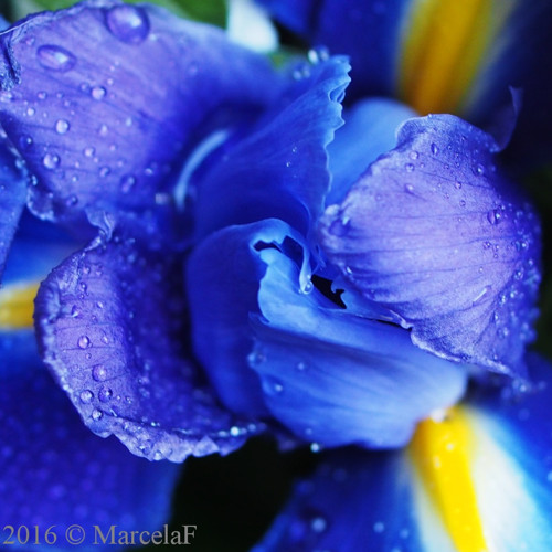 Out of the Blue — foto 1