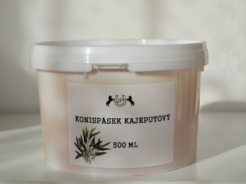 Konispásek kajeputový