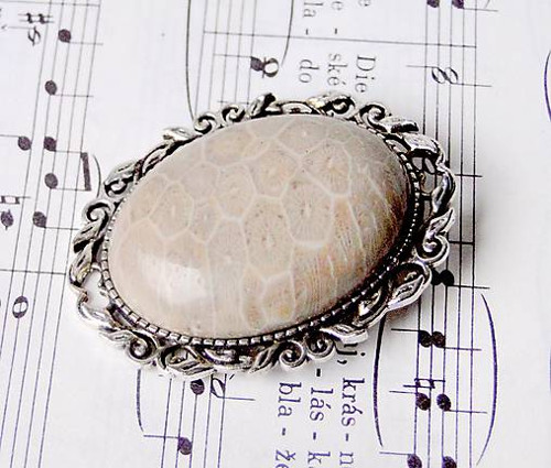 Sea Fossils Brooch / Brož s fosilním kabošonem