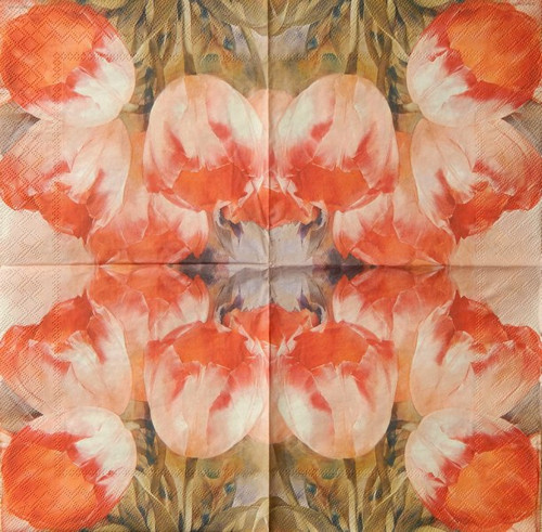 Tulipánový sen A 1000 — foto 1