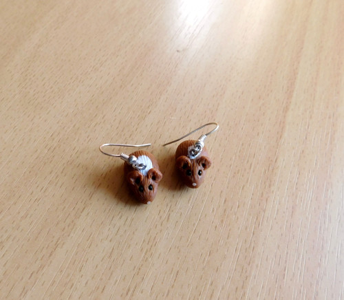 Fimo morčata — foto 1