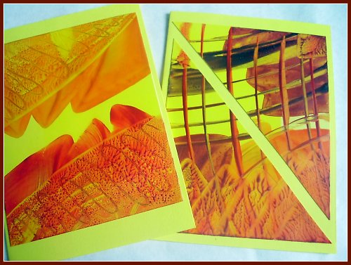 Sluneční sada — foto 1