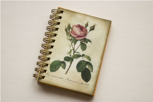 Rose — foto 1