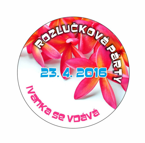 Placky se špendlíkem na přání — foto 1
