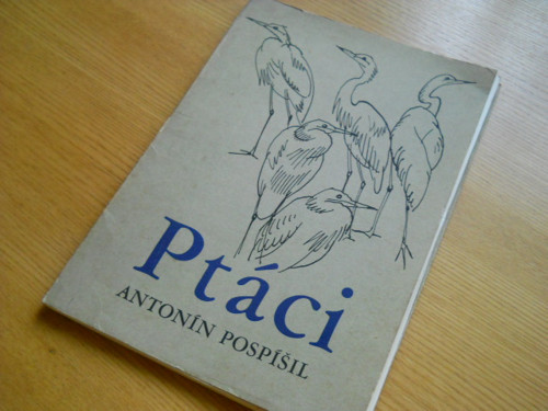 Ptáci — foto 1