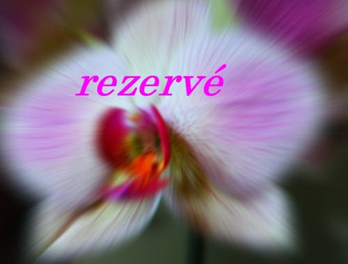 Rezervace — foto 1