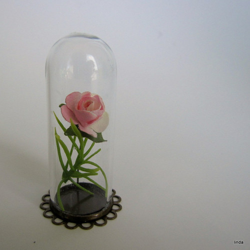 Miniatury * Kala * Růže * 1 ks/bal
