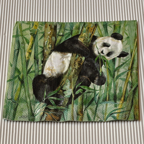 Ubrousek - Panda — foto 1