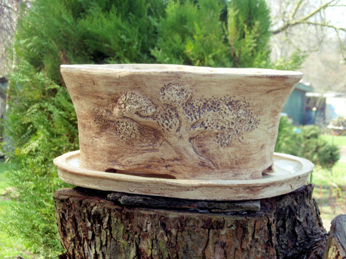 Bonsai miska světlá velká — foto 1