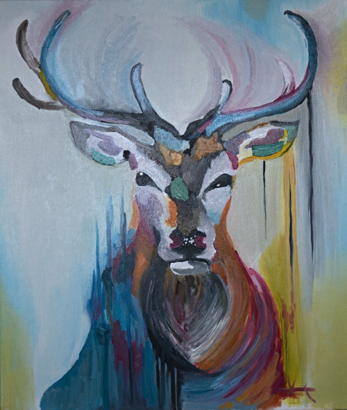 Rainbow Deer — foto 1