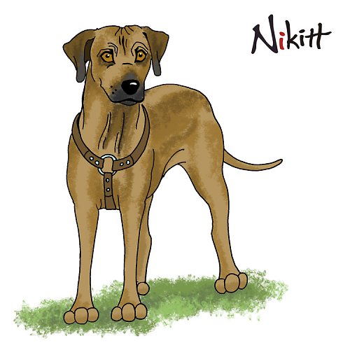 Ridgeback — foto 1