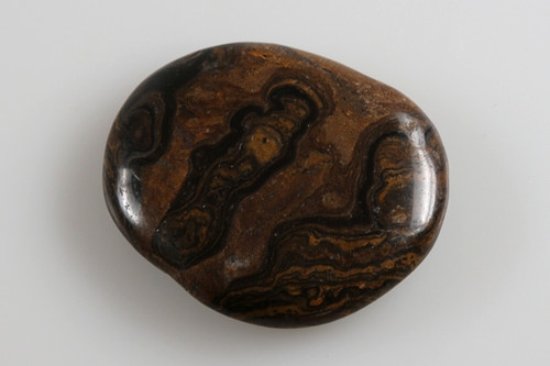 Stromatolit 4,2 cm — foto 1