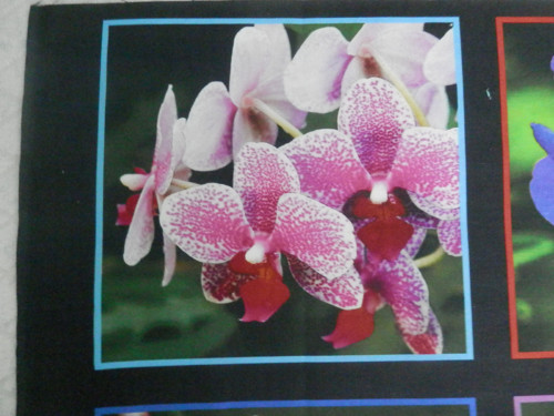 Látkové obrázky - Orchidea 1 — foto 1