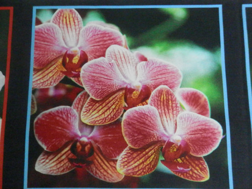 Látkové obrázky - Orchidea 4 — foto 1