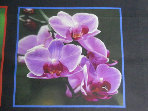 Látkové obrázky - Orchidea 5 — foto 1