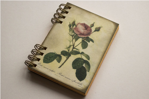 Rose — foto 1
