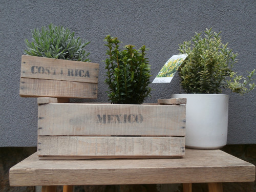 Coffee Box-Set — foto 1