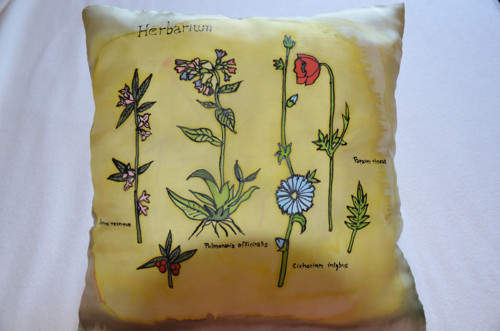 Herbář — foto 1