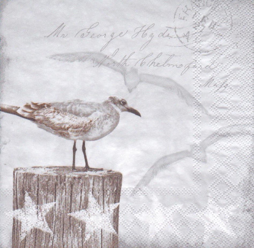 Ubrousek - racek — foto 1