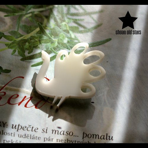 Páv — foto 1