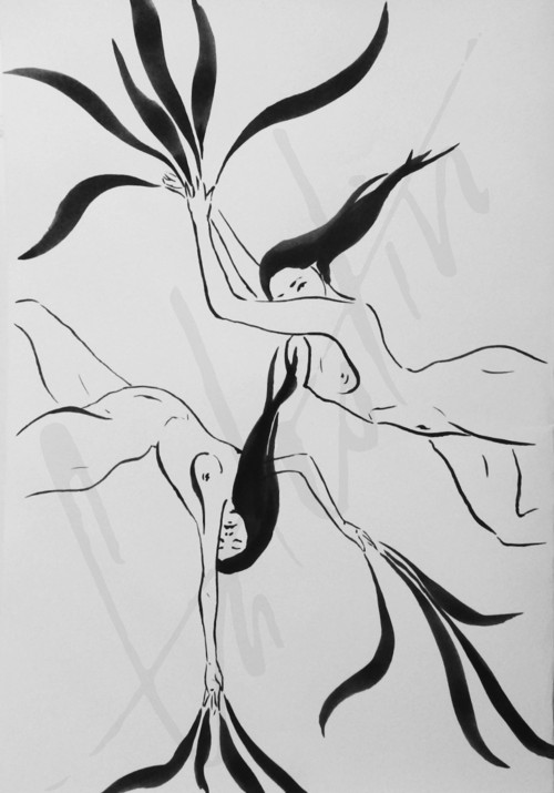 Volnost (linie, inkoust) — foto 1