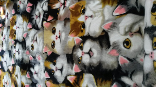 Fleece deka kočky — foto 1
