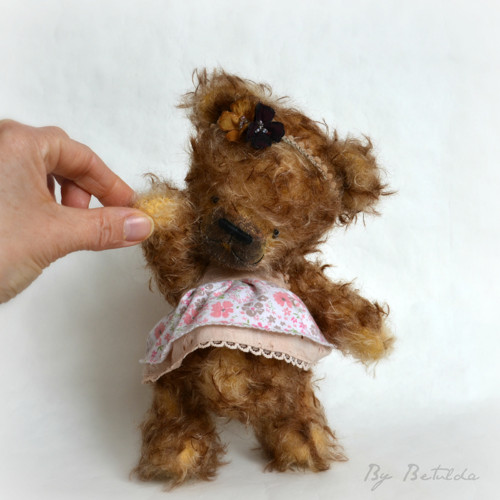 Medvídek Penny — foto 1