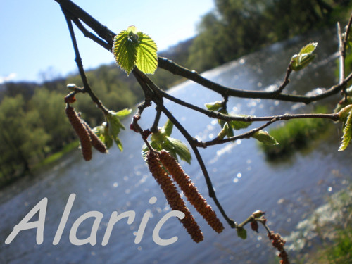 Jaro nad řekou — foto 1