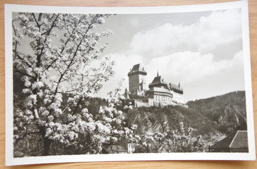 Karlštejn v květu..