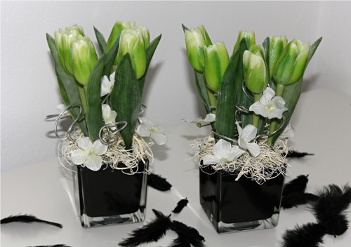 Zelené tulipány v černé kostce — foto 1