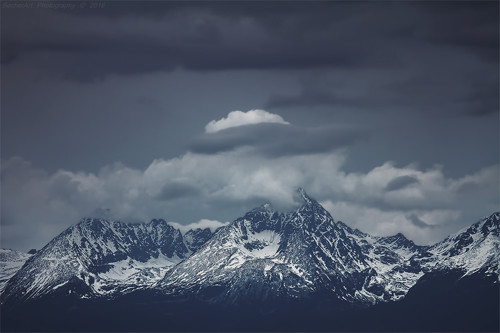 Kingdom Of Heaven XXIII