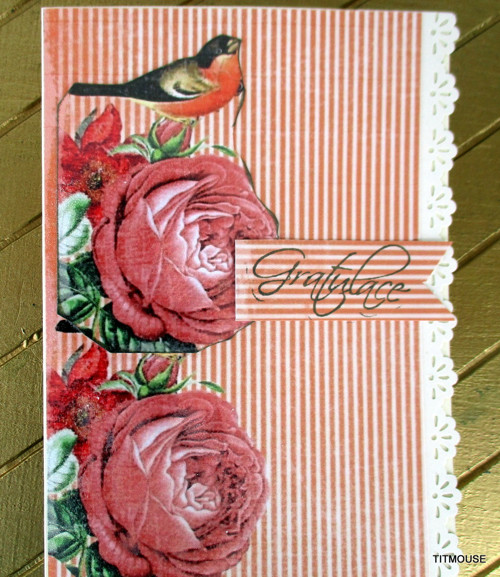Bird in Love — foto 1